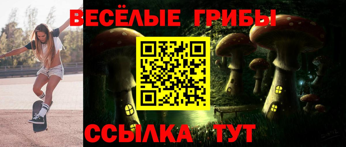Псилоцибиновые грибы GOLDEN TEACHER  Галлюциногенные грибы мухоморы  Верхняя Пышма  Вход с VPN 